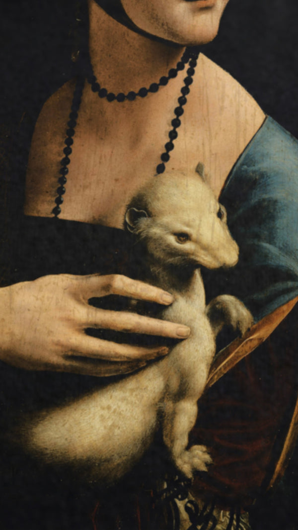 The Lady with an Ermine