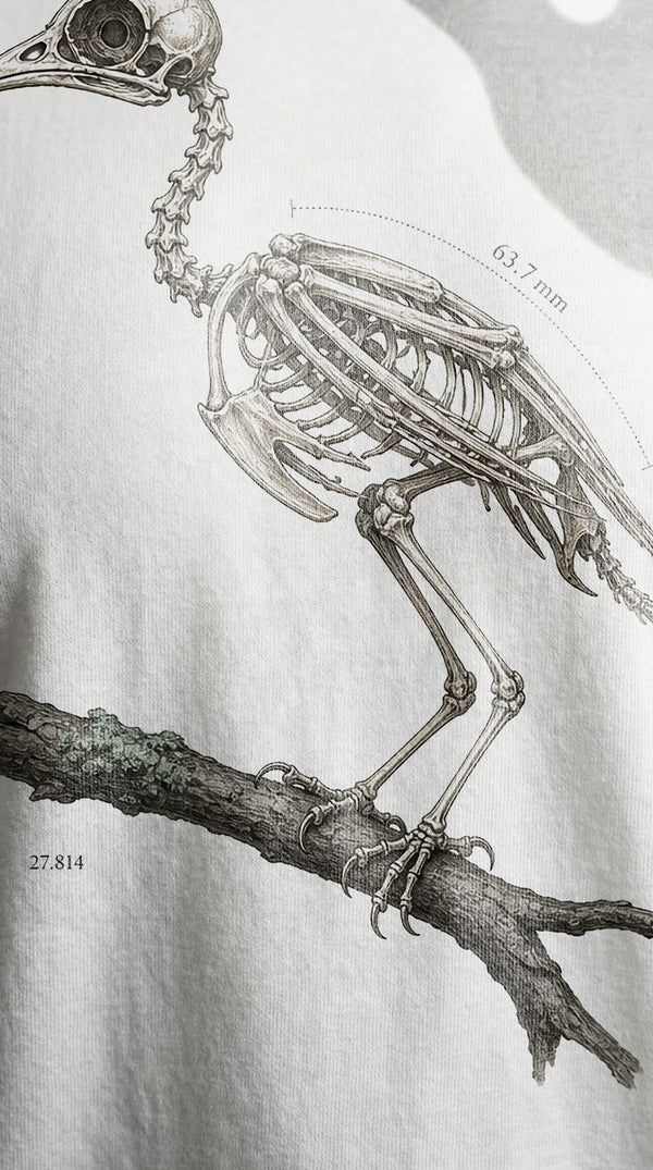 Vestigium